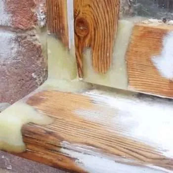 Evermend Epoxy Wood Repair Starter Pack :  4 Hour Cure